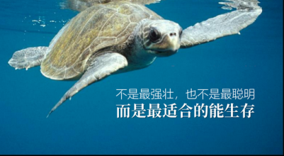价值观.png