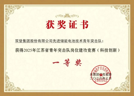 2025年江苏省青年突击队一等奖